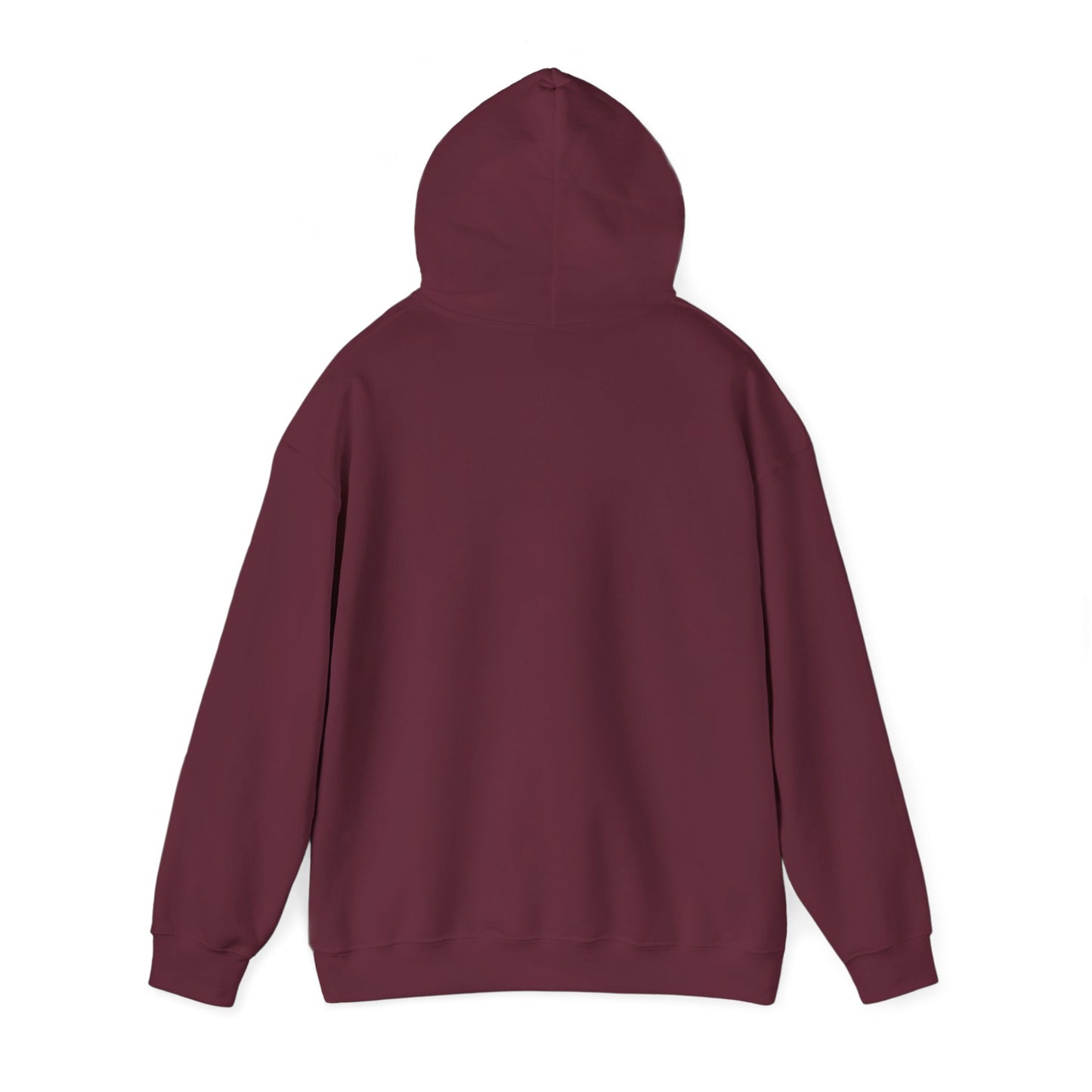 Hoodie – “Feraldad: Raccoon of the Apocalypse” Graphic Pullover