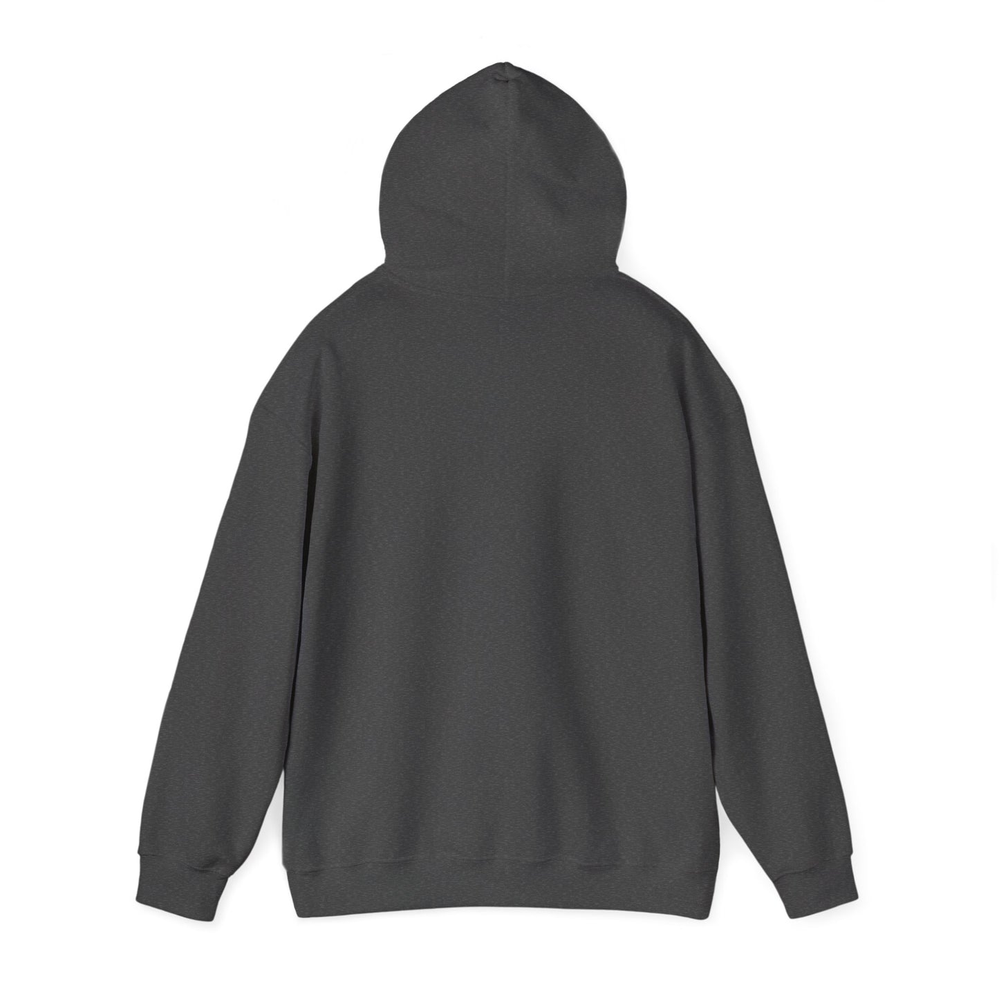 Hoodie – “Feraldad: Raccoon of the Apocalypse” Graphic Pullover