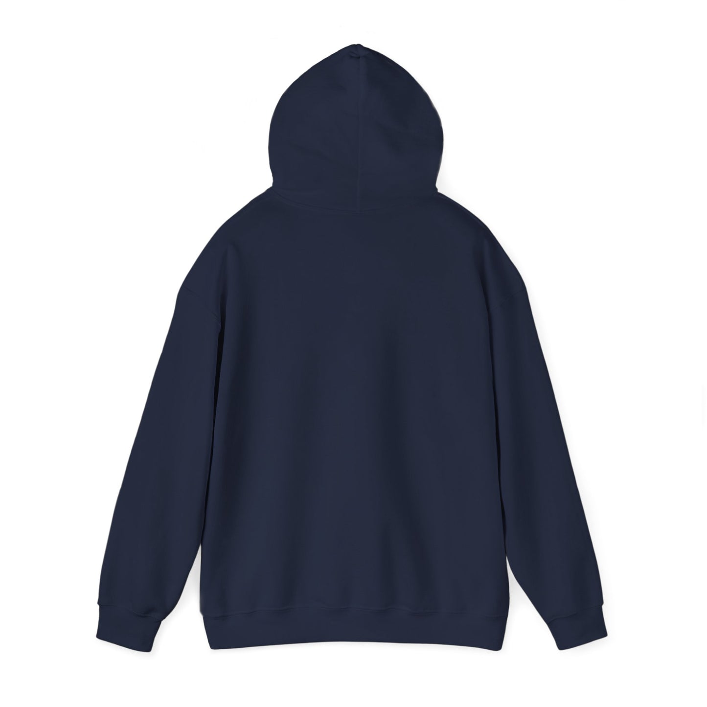 Hoodie – “Feraldad: Raccoon of the Apocalypse” Graphic Pullover