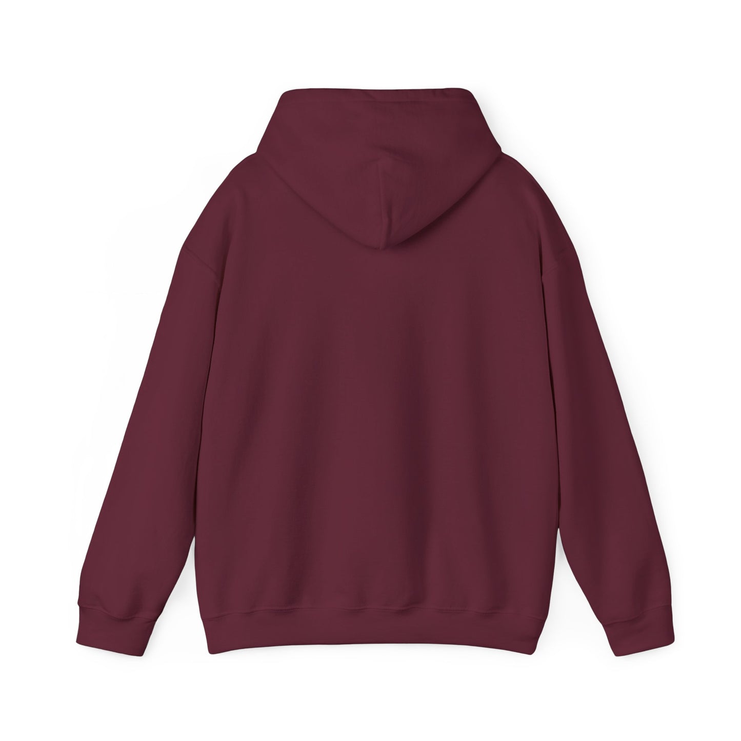 Hoodie – “Feraldad: Raccoon of the Apocalypse” Graphic Pullover
