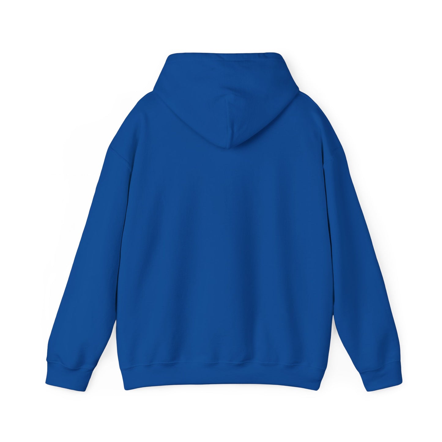 Hoodie – “Feraldad: Raccoon of the Apocalypse” Graphic Pullover