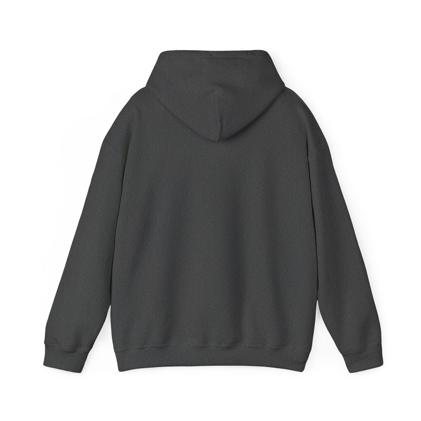 Hoodie – “Feraldad: Raccoon of the Apocalypse” Graphic Pullover