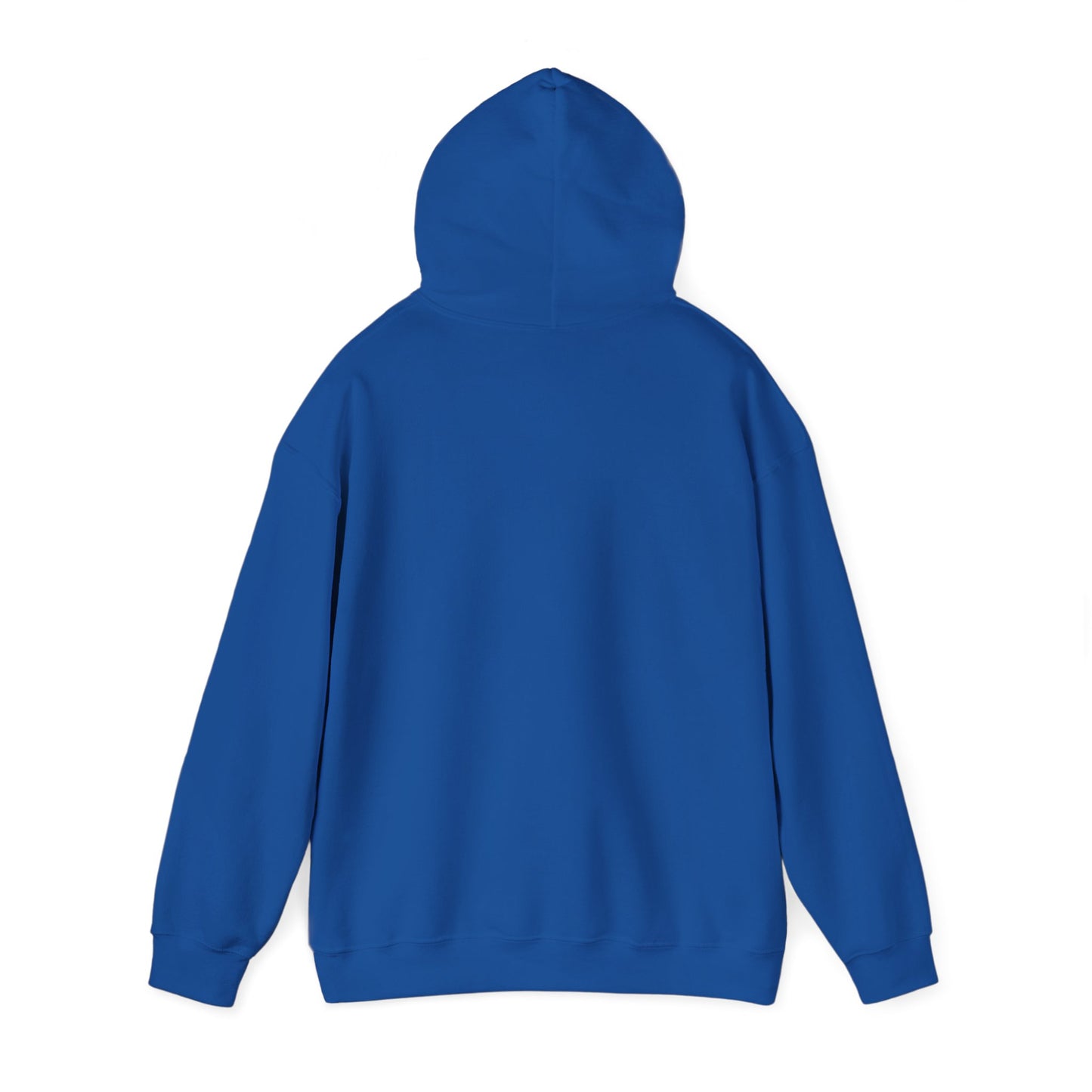 Hoodie – “Feraldad: Raccoon of the Apocalypse” Graphic Pullover