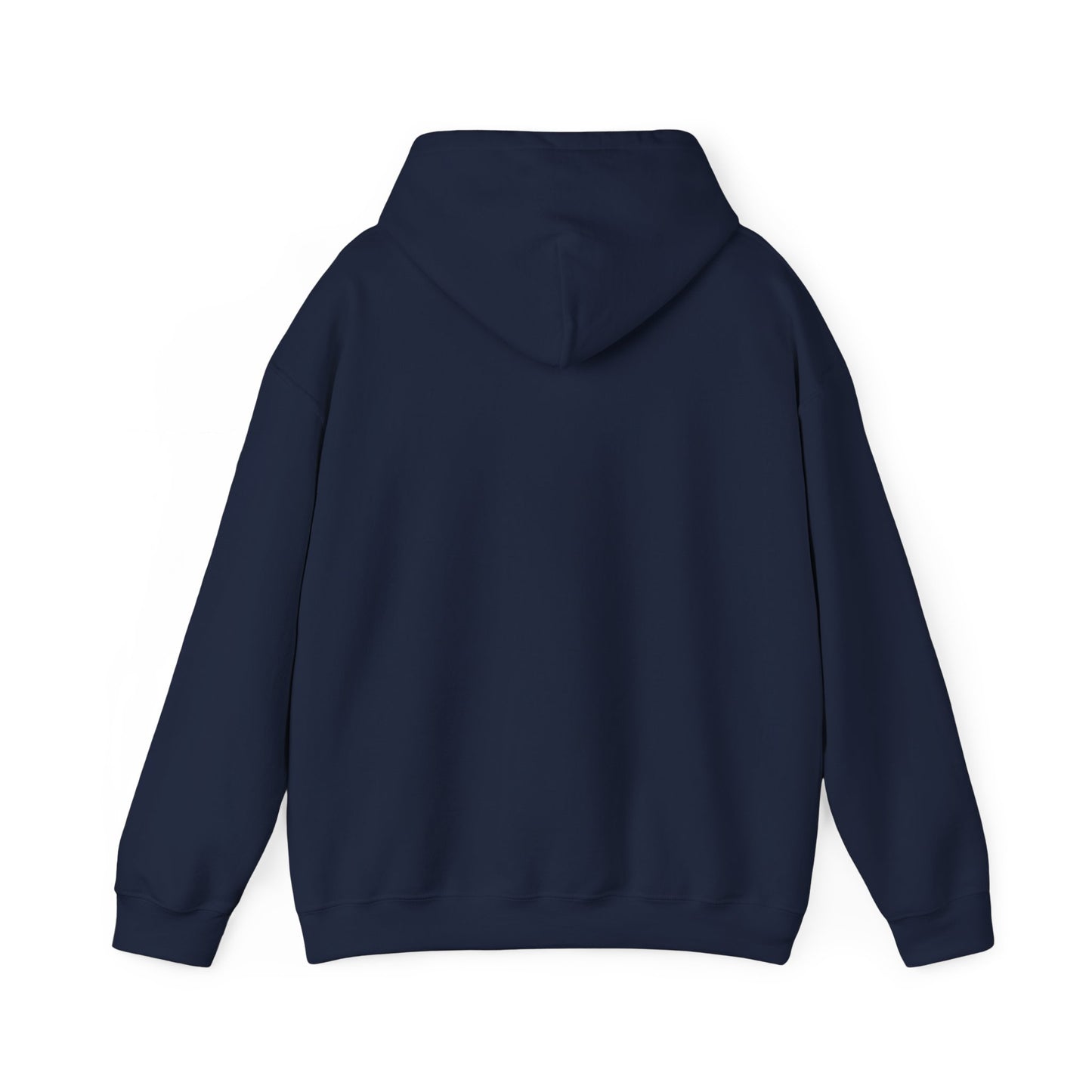 Hoodie – “Feraldad: Raccoon of the Apocalypse” Graphic Pullover