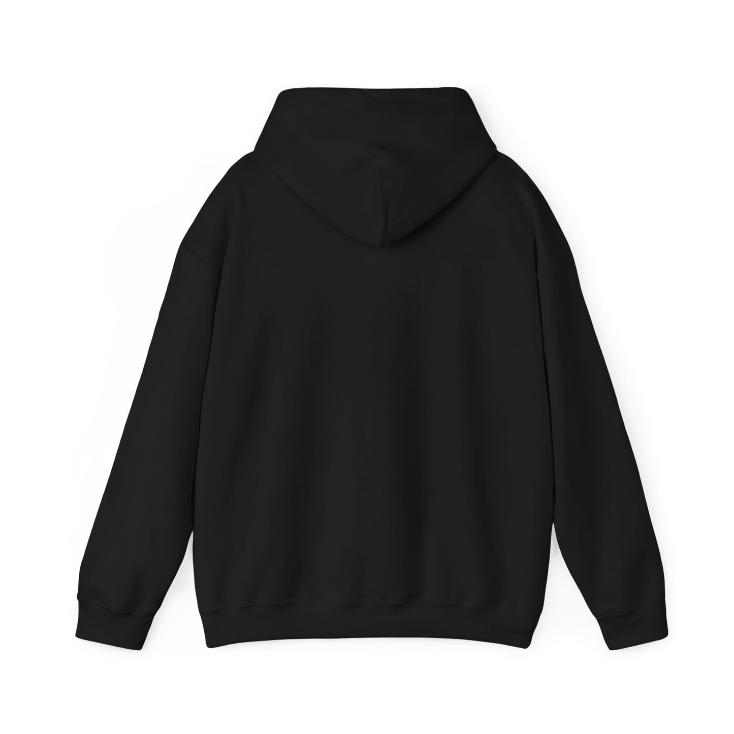 Hoodie – “Feraldad: Raccoon of the Apocalypse” Graphic Pullover