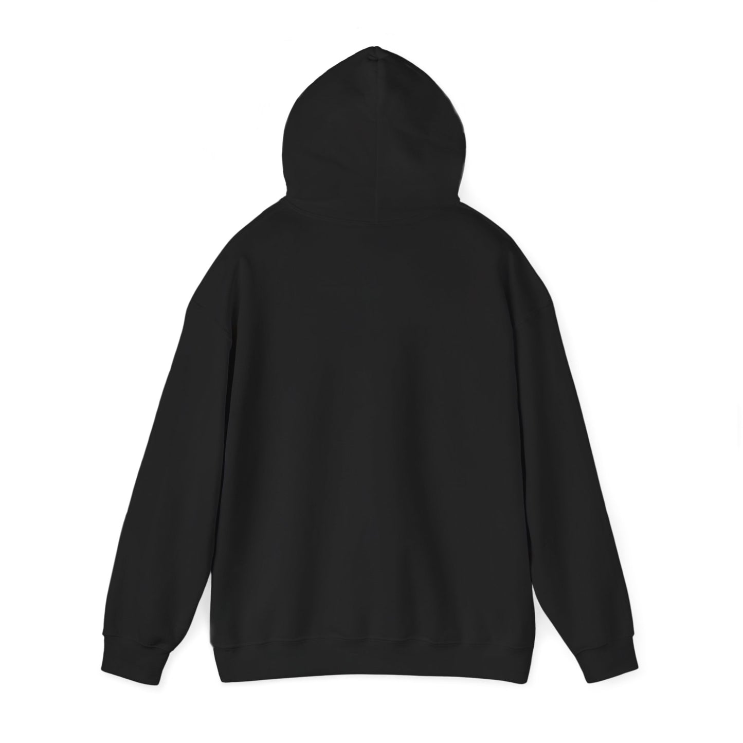 Hoodie – “Feraldad: Raccoon of the Apocalypse” Graphic Pullover