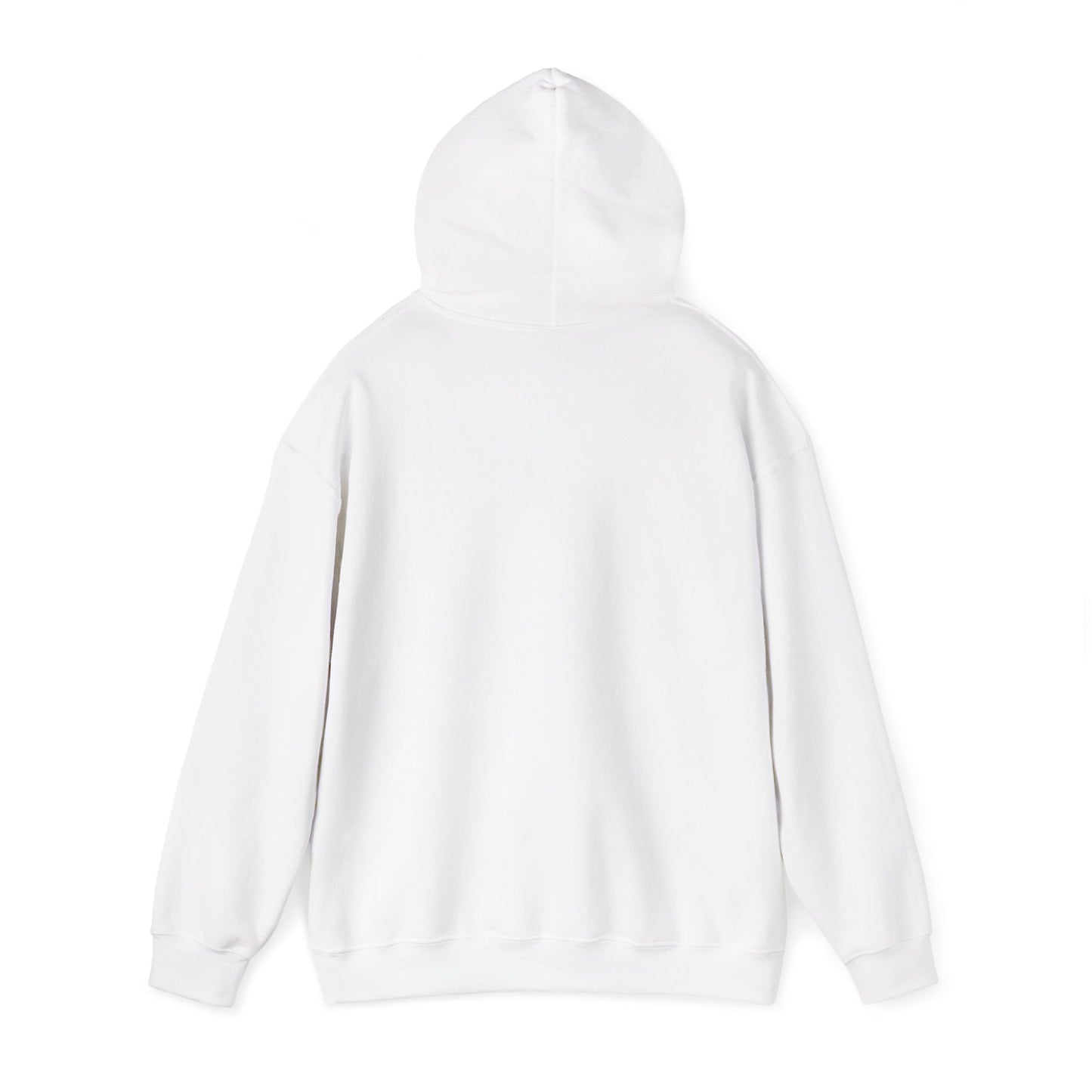 Hoodie – “Feraldad: Raccoon of the Apocalypse” Graphic Pullover