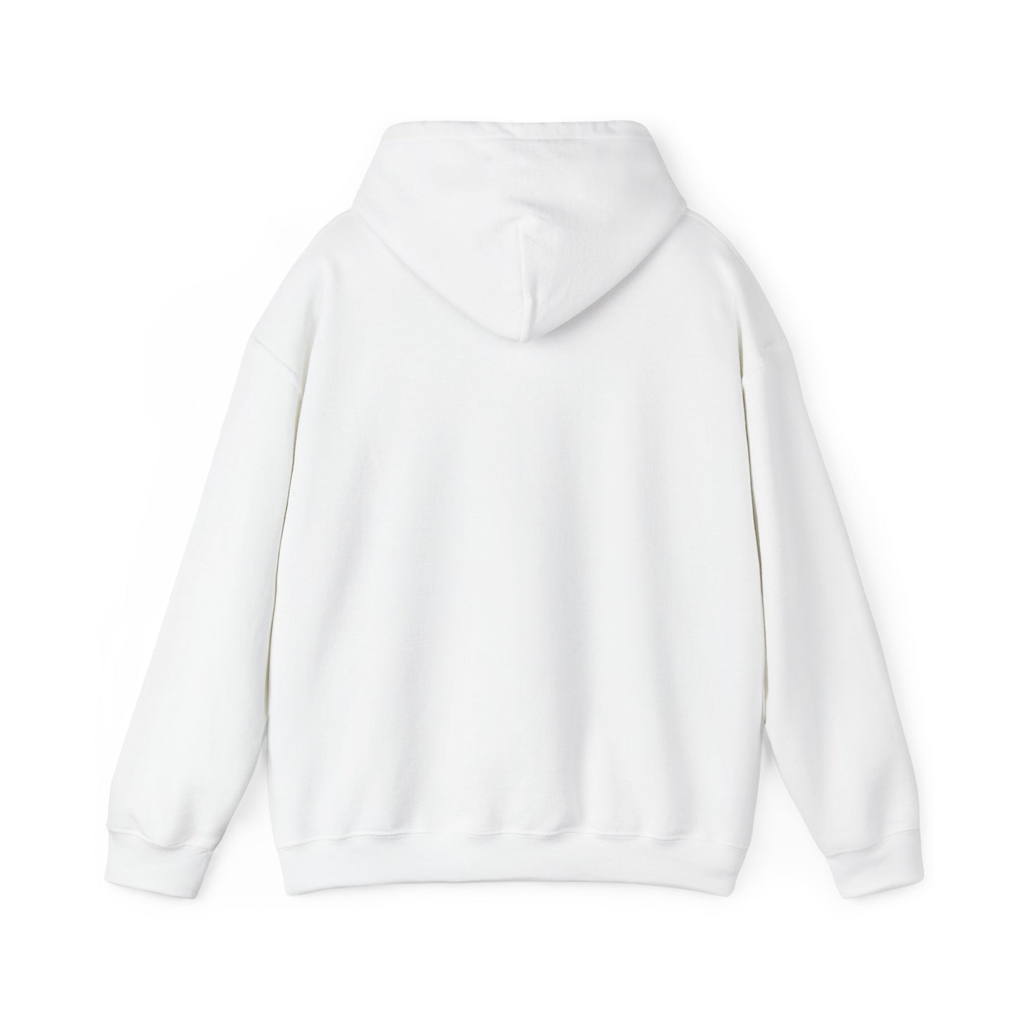 Hoodie – “Feraldad: Raccoon of the Apocalypse” Graphic Pullover