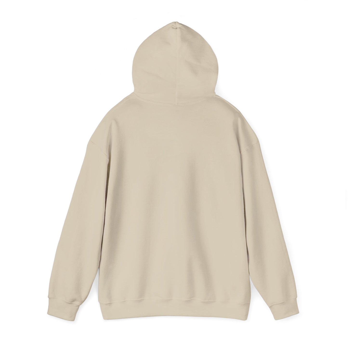 Hoodie – “Feraldad: Raccoon of the Apocalypse” Graphic Pullover