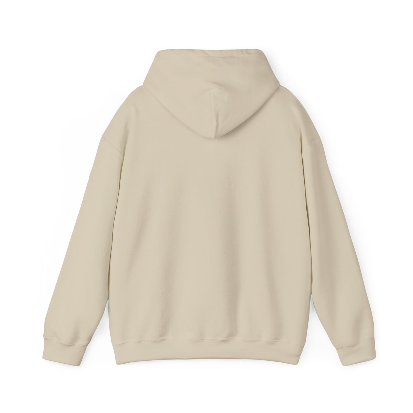 Hoodie – “Feraldad: Raccoon of the Apocalypse” Graphic Pullover